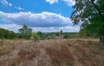 A spacious building 286sq.m. with a large garden 15km away from Pavlikeni