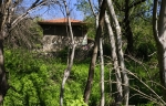 A house for sale in the village of Stambolovo